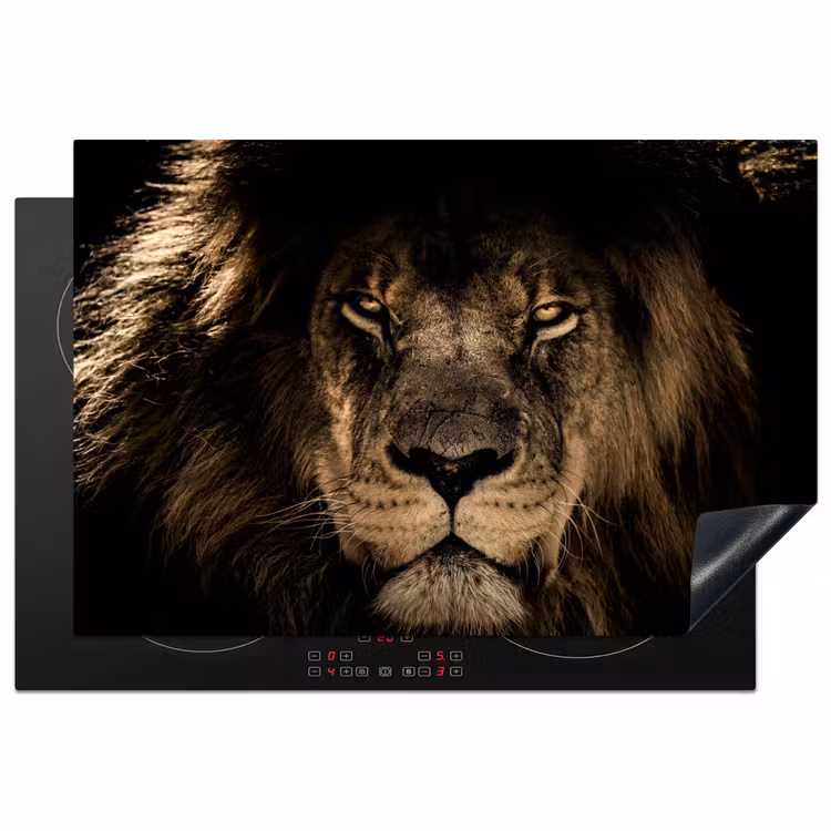 Leeuw - Dieren - Zwart - Portret Inductie beschermer vinyl 3mm klein -3d