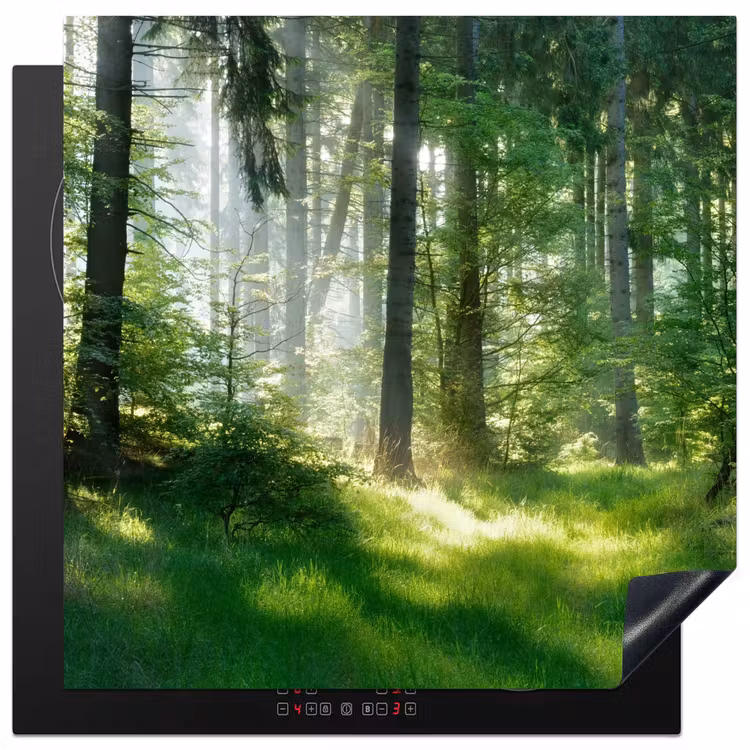 Natuur - Bomen - Bos - Groen - Zon - Gras - Planten Inductie beschermer vinyl 3mm middel -3d