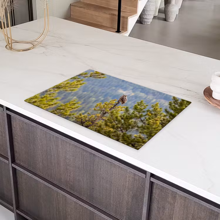 Uil - Oehoe - Bomen - Natuur Inductie beschermer vinyl 3mm klein -sfeer8
