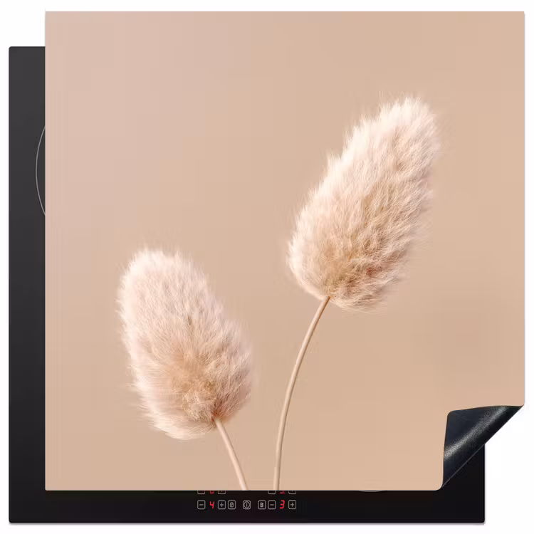 Pampas pluimen - Beige - Planten Inductie beschermer vinyl 3mm middel -3d