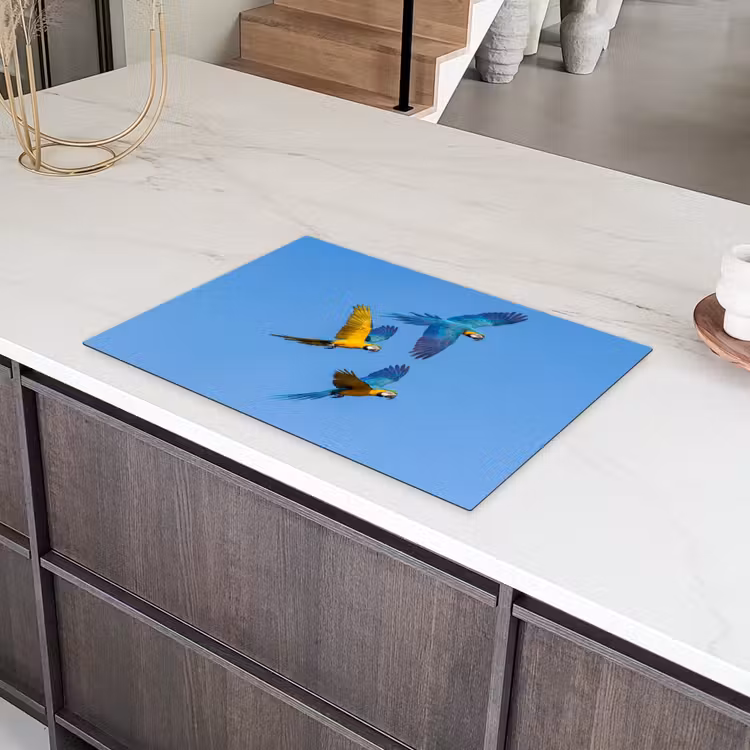 Papagaai - Vliegen - Blauw - Geel Inductie beschermer vinyl 3mm klein -sfeer8
