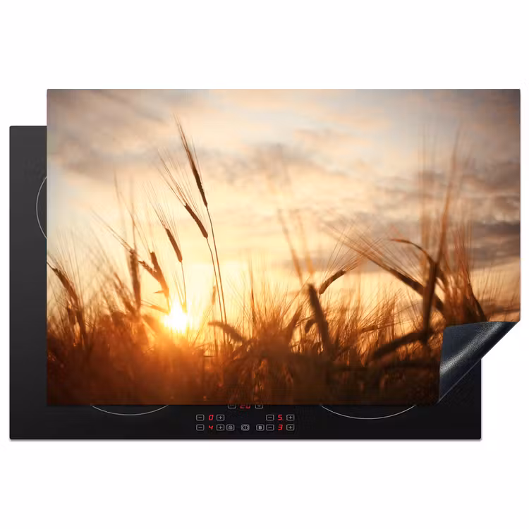Riet - Gras - Zonsondergang - Natuur - Horizon Inductie beschermer vinyl 3mm klein -3d