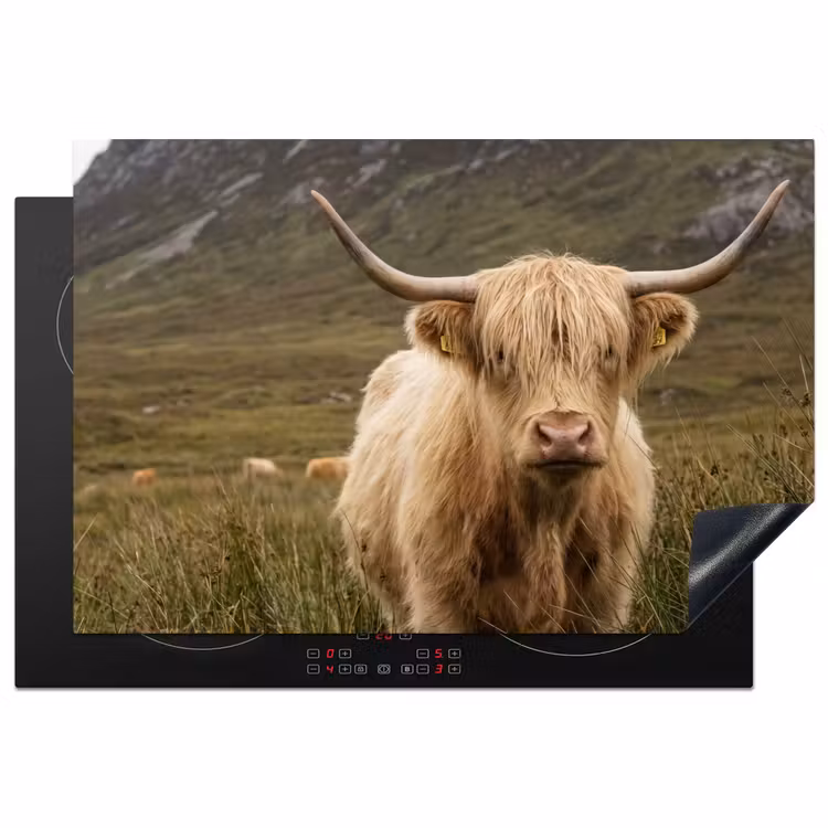Schotse hooglander - Bergen - Grasveld Inductie beschermer vinyl 3mm klein -3d