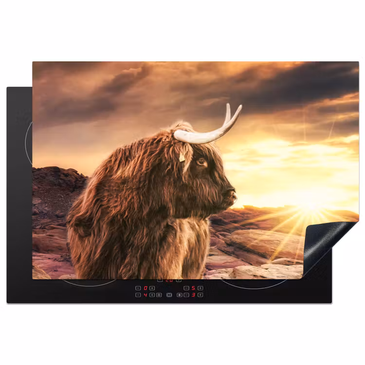 Schotse hooglander - Zon - Horizon - Koe - Dieren Inductie beschermer vinyl 3mm klein -3d