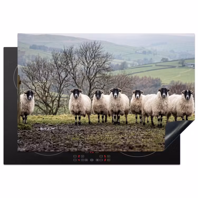 Schapen - Rij - Weide - Dieren - Platteland Inductie beschermer vinyl 3mm klein -3d