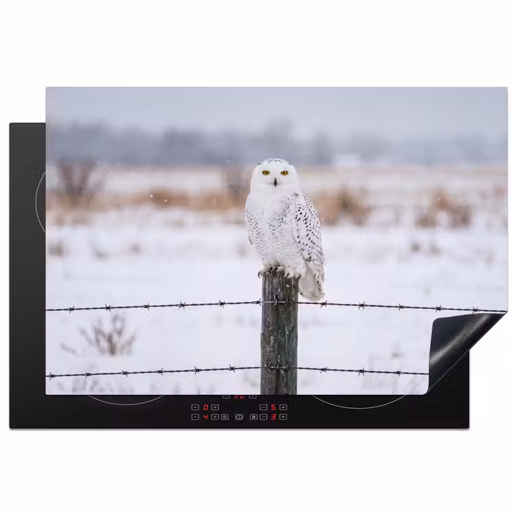 Sneeuwuil - Hek - Sneeuw - Wit Inductie beschermer vinyl 3mm klein -3d