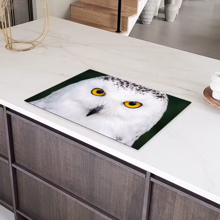 Sneeuwuil - Portret - Geel Inductie beschermer vinyl 3mm klein -sfeer8