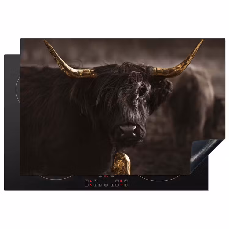 Klanken van de Avondval Inductie beschermer vinyl 3mm klein -3d