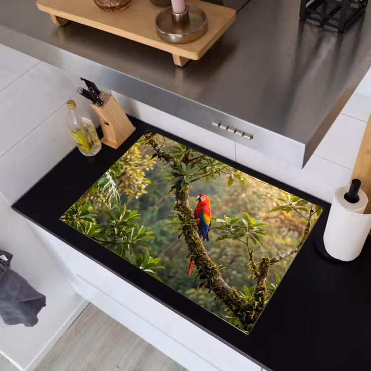 Ara - Jungle - Rood Inductie beschemer met haakjes klein -sfeer1