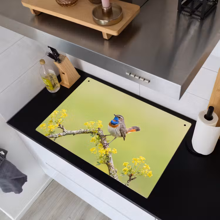 Vogel - Tak - Natuur - Kleurrijk Inductie beschemer met haakjes klein -sfeer1