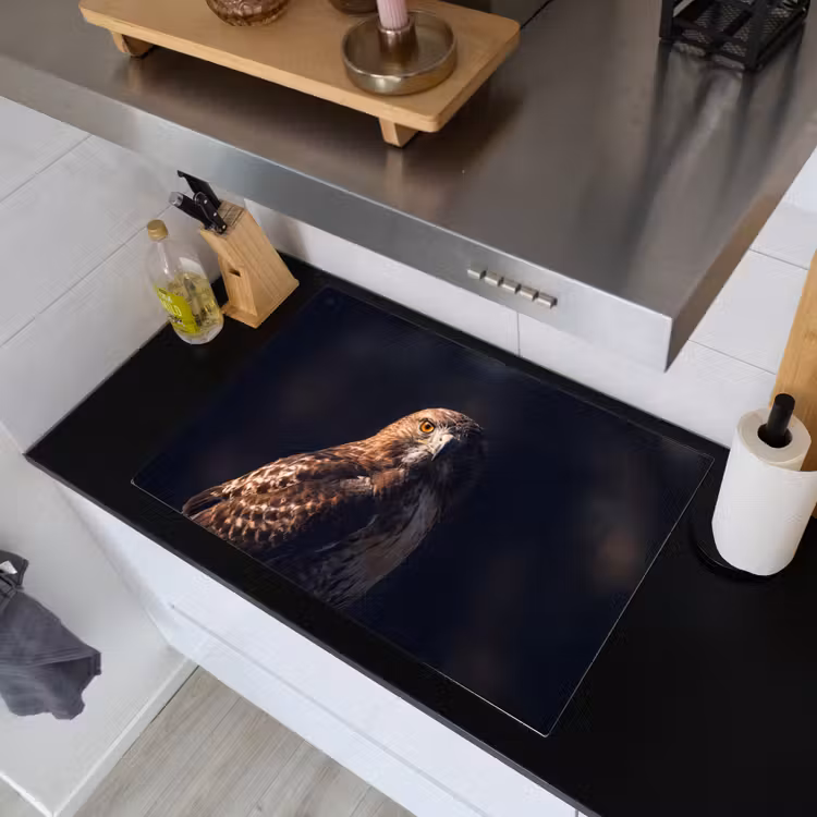 Roofvogel - Buizerd - Bruin Inductie beschemer met haakjes klein -sfeer1