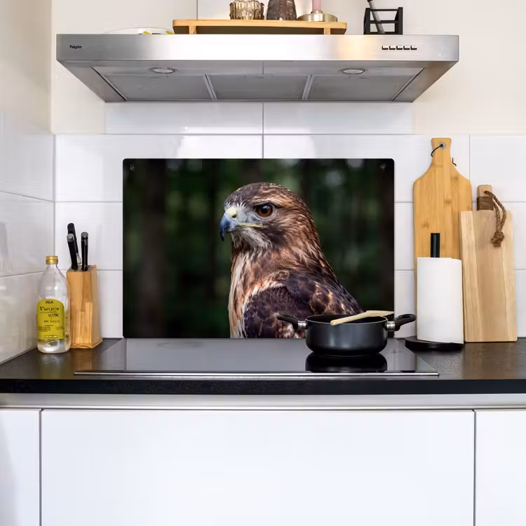 Buizerd - Roofvogel - Natuur - Bruin Inductie beschemer met haakjes klein -sfeer2