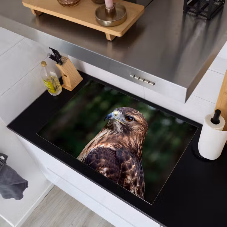 Buizerd - Roofvogel - Natuur - Bruin Inductie beschemer met haakjes klein -sfeer1