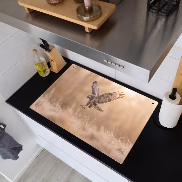 Buizerd - Roofvogel - Natuur - Bruin Inductie beschemer met haakjes klein -sfeer1