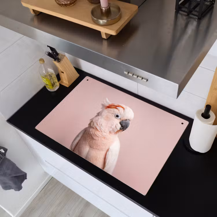 Kaketoe - Portret - Roze Inductie beschemer met haakjes klein -sfeer1