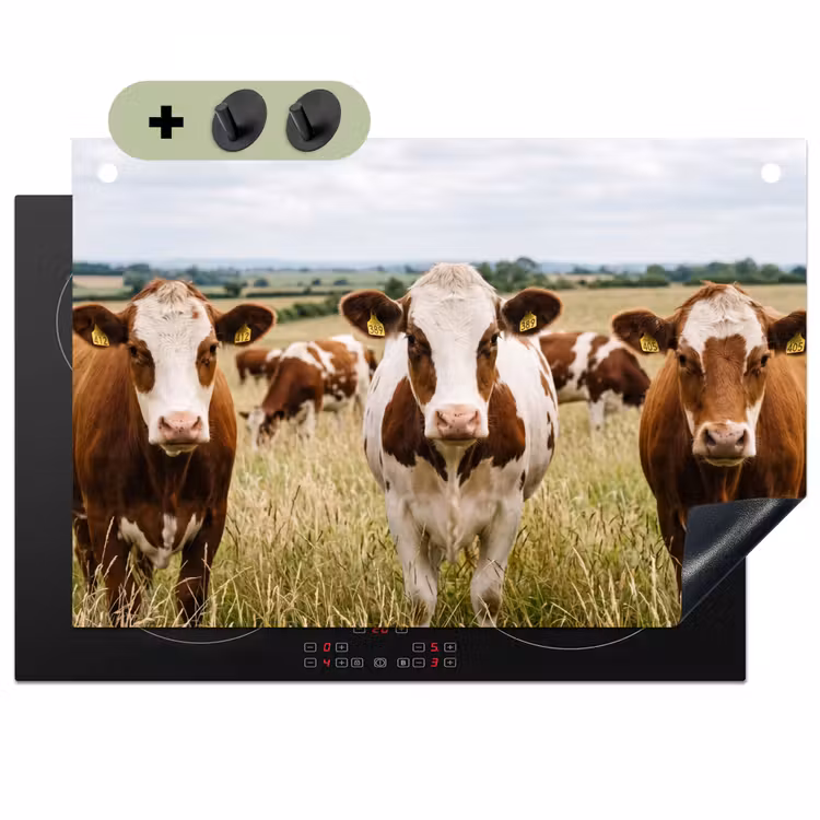 Koeien - Portret - Weide - Boerderij - Nieuwsgierig Inductie beschemer met haakjes klein -3d