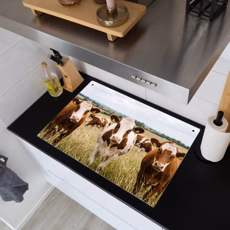 Koeien - Portret - Weide - Boerderij - Nieuwsgierig Inductie beschemer met haakjes klein -sfeer1
