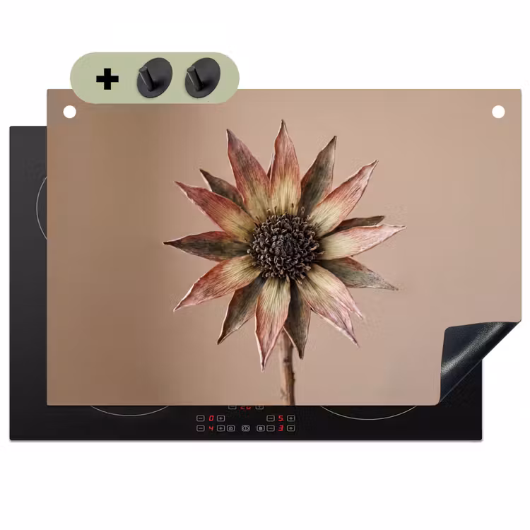 Droogbloem - Protea - Vintage - Beige - Rustiek Inductie beschemer met haakjes klein -3d