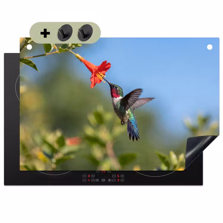 Kolibrie - Bloem - Natuur - Groen Inductie beschemer met haakjes klein -3d