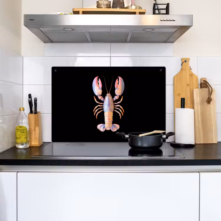 Kreeft - Roze - Zacht - Zwart Inductie beschemer met haakjes klein -sfeer2