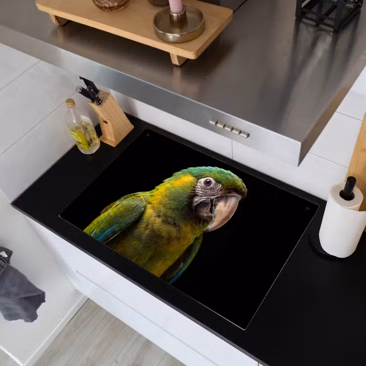 Ara - Portret - Groen Inductie beschemer met haakjes klein -sfeer1