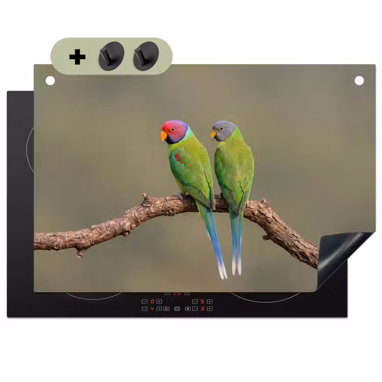 Papagaai - Tak - Natuur - Kleurrijk Inductie beschemer met haakjes klein -3d