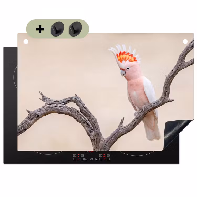 Papagaai - Tak - Roze Inductie beschemer met haakjes klein -3d