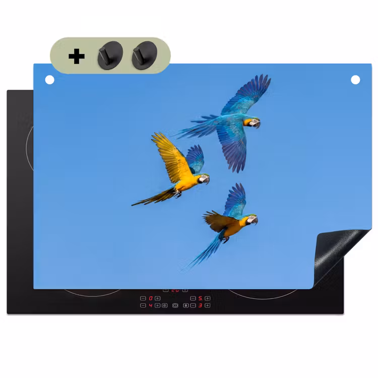 Papagaai - Vliegen - Blauw - Geel Inductie beschemer met haakjes klein -3d