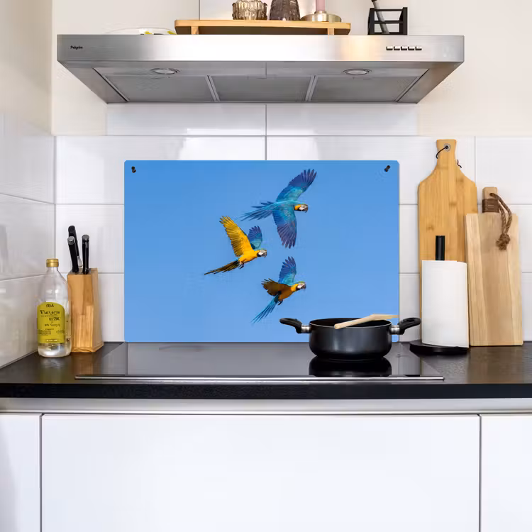 Papagaai - Vliegen - Blauw - Geel Inductie beschemer met haakjes klein -sfeer2