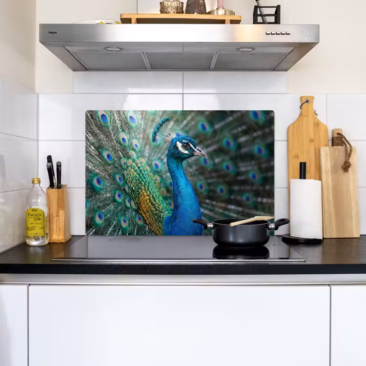 Pauw - Veren - Blauw Inductie beschemer met haakjes klein -sfeer2