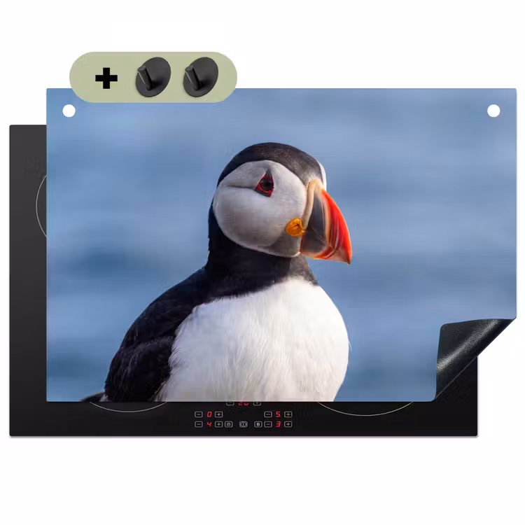 Papegaaiduiker - Portret - Natuur Inductie beschemer met haakjes klein -3d