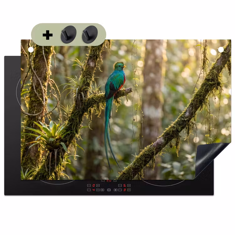 Quetzal - Jungle - Natuur - Groen Inductie beschemer met haakjes klein -3d