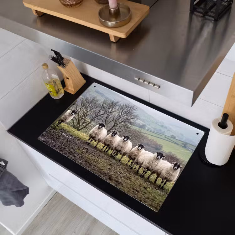 Schapen - Rij - Weide - Dieren - Platteland Inductie beschemer met haakjes klein -sfeer1