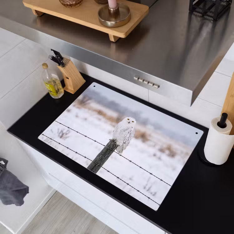 Sneeuwuil - Hek - Sneeuw - Wit Inductie beschemer met haakjes klein -sfeer1