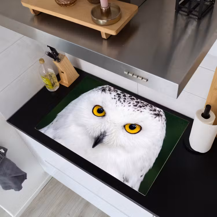 Sneeuwuil - Portret - Geel Inductie beschemer met haakjes klein -sfeer1