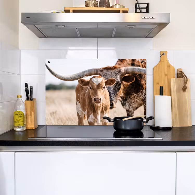 Texas Longhorn - Kalf - Weide - Dieren Inductie beschemer met haakjes klein -sfeer2