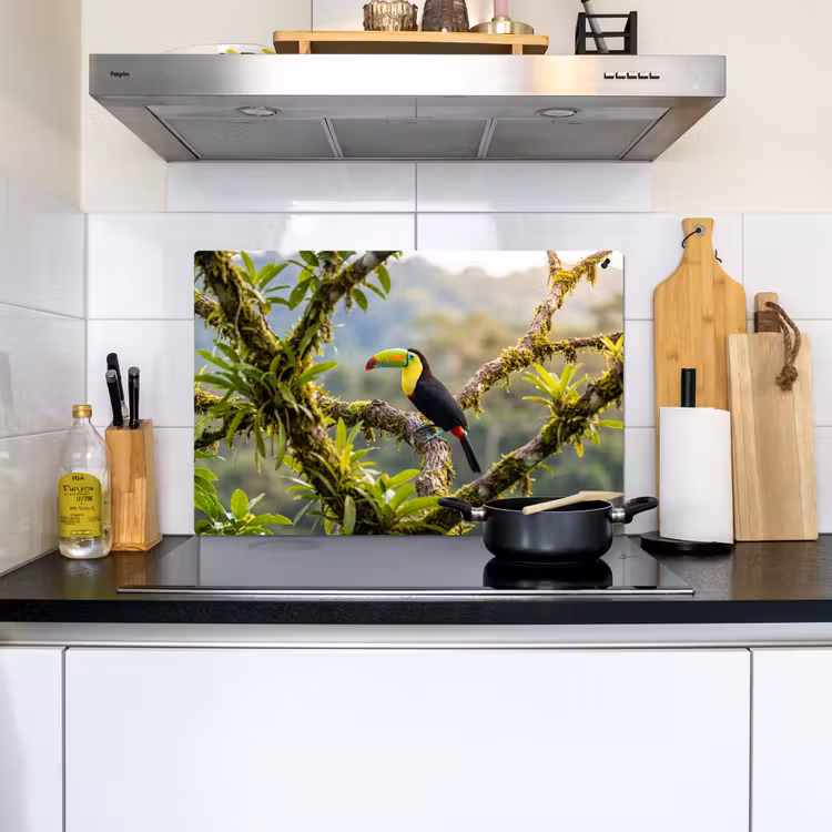 Toekan - Jungle - Natuur - Kleurrijk Inductie beschemer met haakjes klein -sfeer2