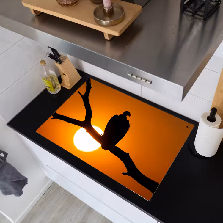Gier - Tak - Zon - Oranje Inductie beschemer met haakjes klein -sfeer1