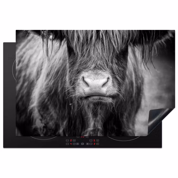 Stoïcijnse Blik Inductie beschermer vinyl 3mm klein -3d