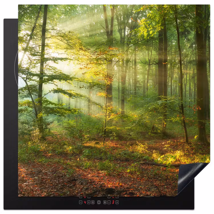Zon - Bos - Bomen - Natuur - Herfst Inductie beschermer vinyl 3mm middel -3d