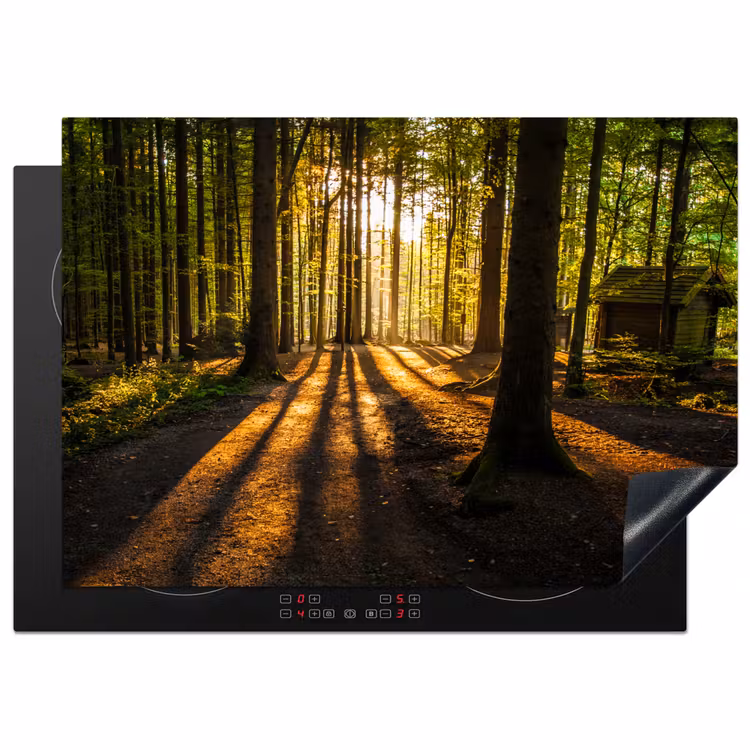 Zon - Bomen - Bos - Landschap - Natuur Inductie beschermer vinyl 3mm middel -3d