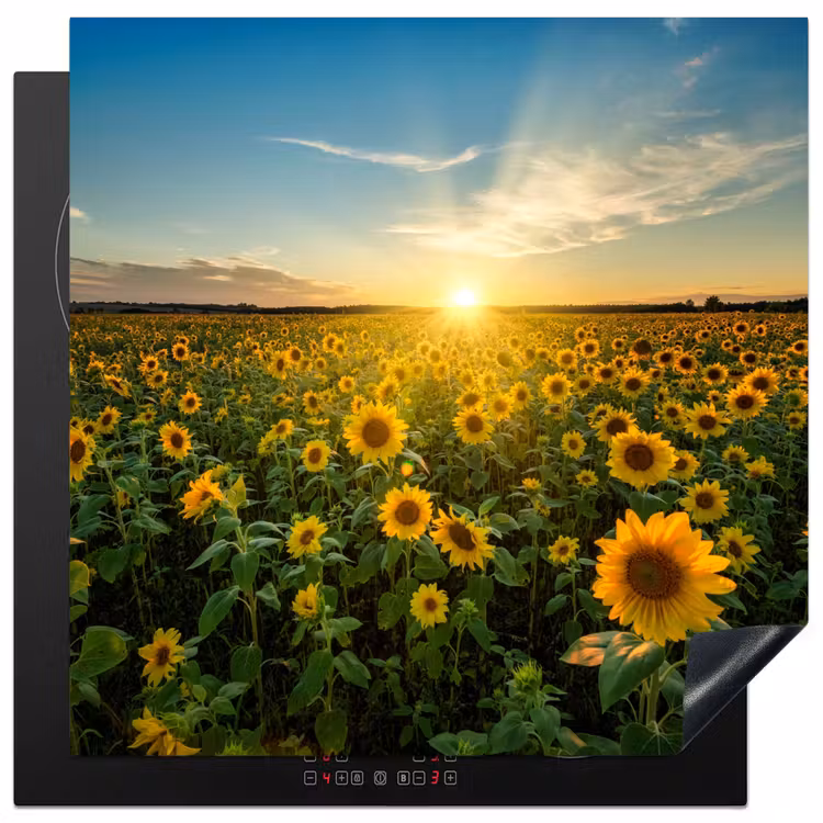 Zonsondergang - Bloemen - Zonnebloem - Horizon - Landschap Inductie beschermer vinyl 3mm middel -3d