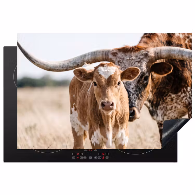 Texas Longhorn - Kalf - Weide - Dieren Inductie beschermer vinyl 3mm klein -3d