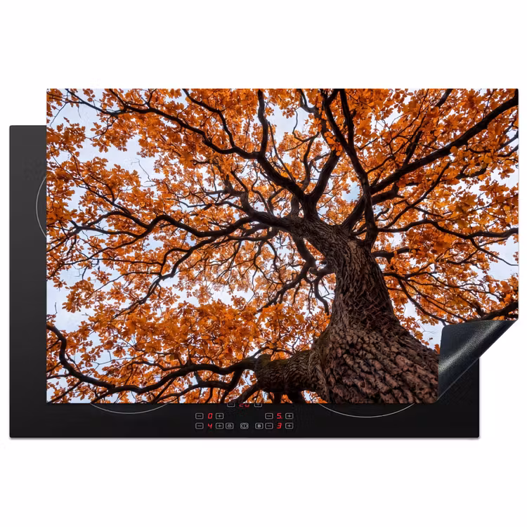 Boom - Bladerdak - Herfst - Oranje - Sfeervol Inductie beschermer vinyl 3mm klein -3d