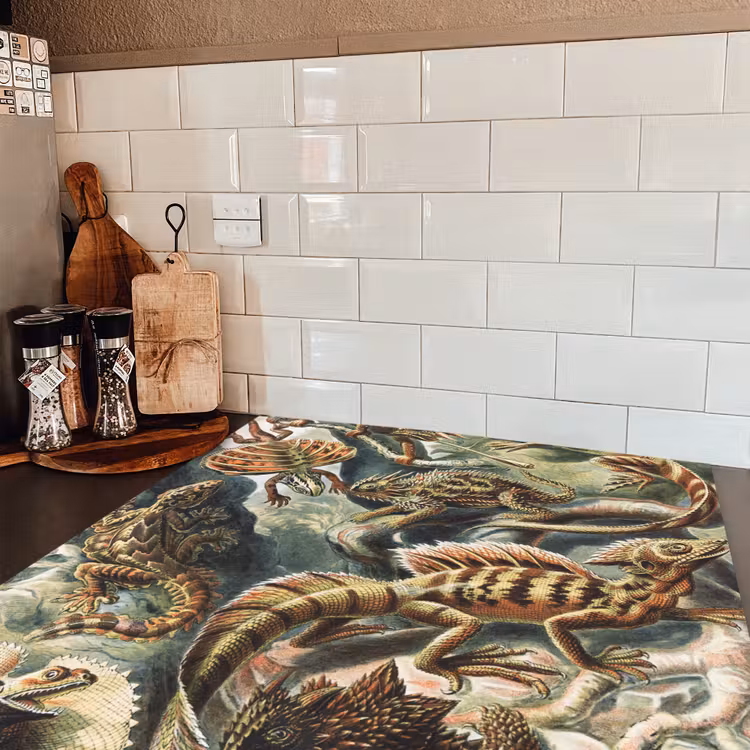 Vintage - Kunst - Ernst Haeckel - Salamanders - Dieren Inductie beschermer vinyl 3mm middel -sfeer3