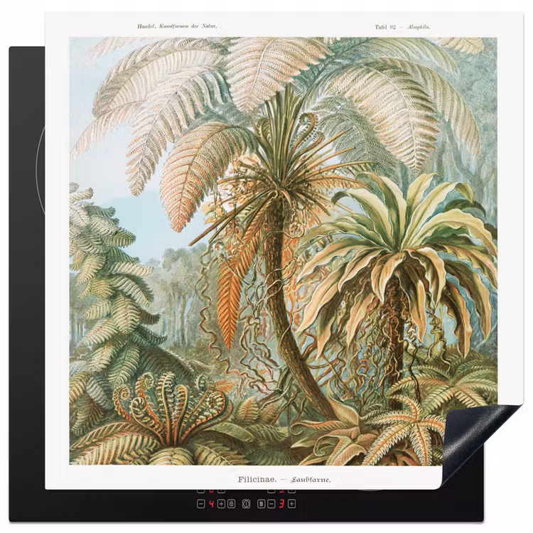 Vintage - Oude meesters - Varens - Planten - Natuur Inductie beschermer vinyl 3mm middel -3d