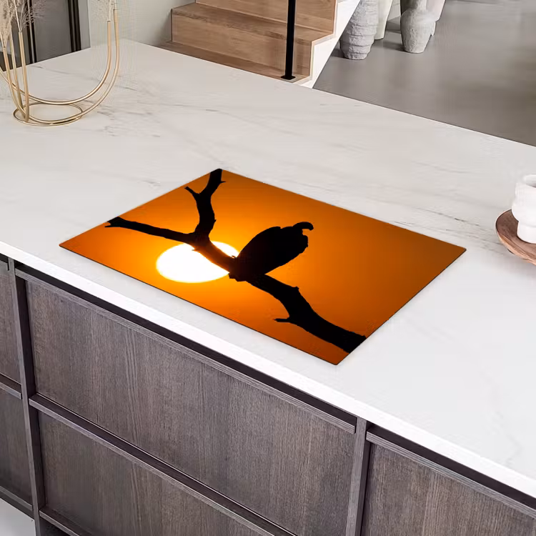 Gier - Tak - Zon - Oranje Inductie beschermer vinyl 3mm klein -sfeer8