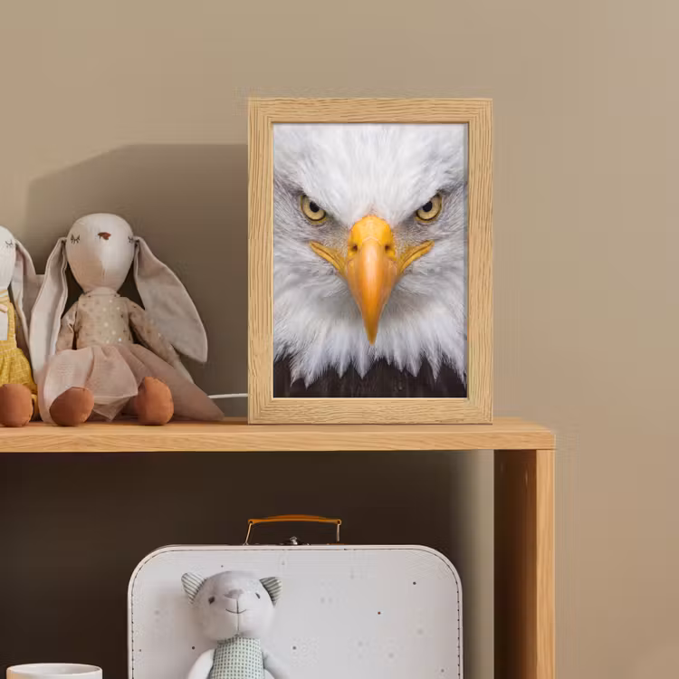 Amerikaans - Zeearend - Portret - Geel Light Box met kabel (Kinderlampje) klein -sfeer2_kind