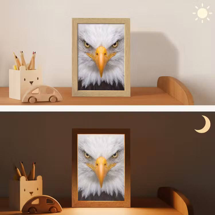 Amerikaans - Zeearend - Portret - Geel Light Box met kabel (Kinderlampje) klein -sfeer3_kind