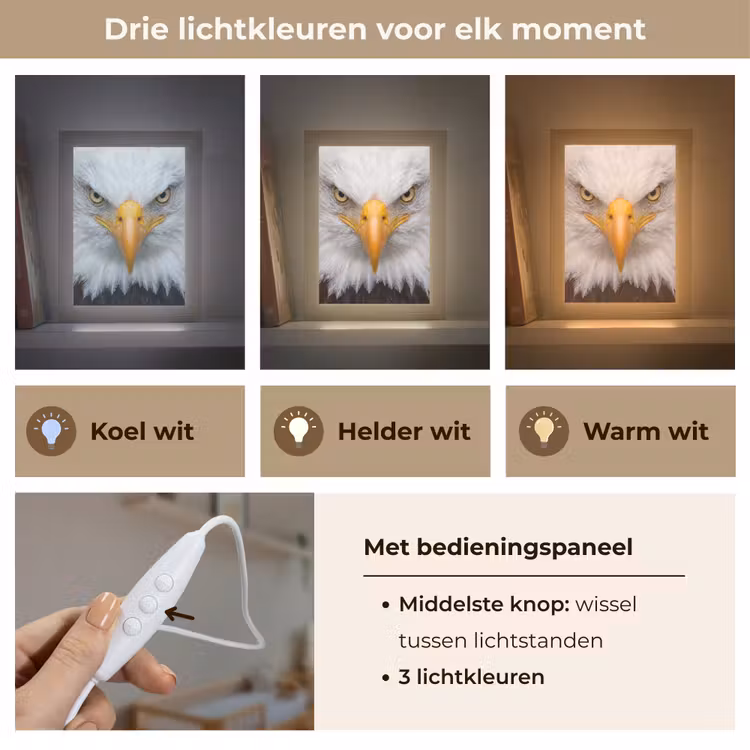 Amerikaans - Zeearend - Portret - Geel Light Box met kabel (Kinderlampje) klein -USP_lichtkleurNL